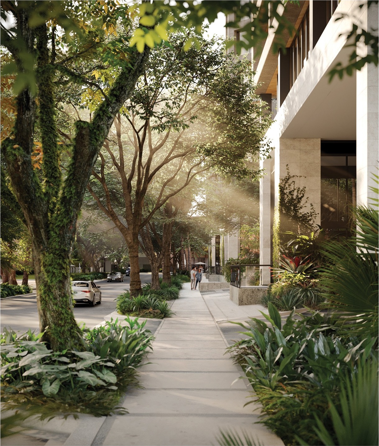 Tigertail Avenue streetscape at THE WELL Coconut Grove — coral-stone façade meeting the canopy of historic Coconut Grove.